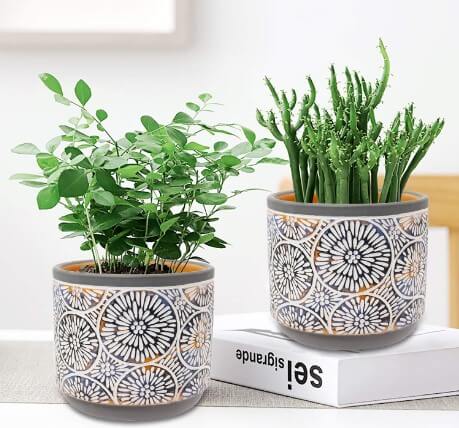 2 Pack Ceramic Plant Pots- The Vivimee 5 Inch Flower Pot Set