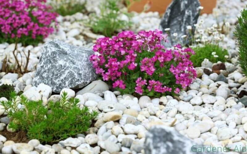 Arrange your front house in big rocks and Beauty Blower