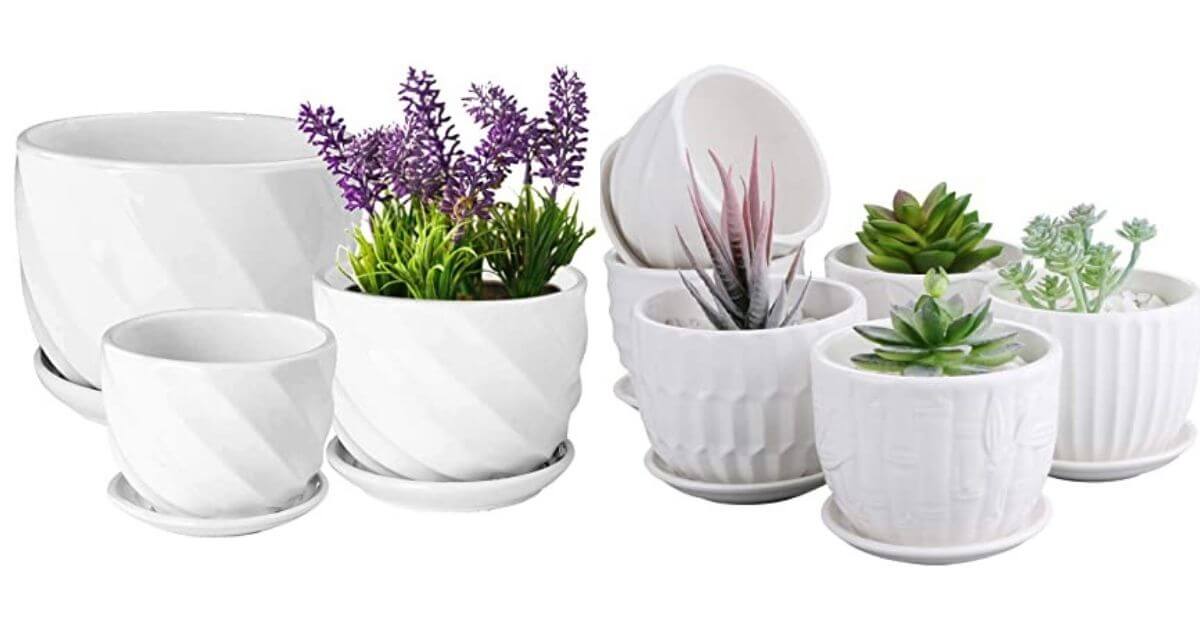 Ceramic pots for plants