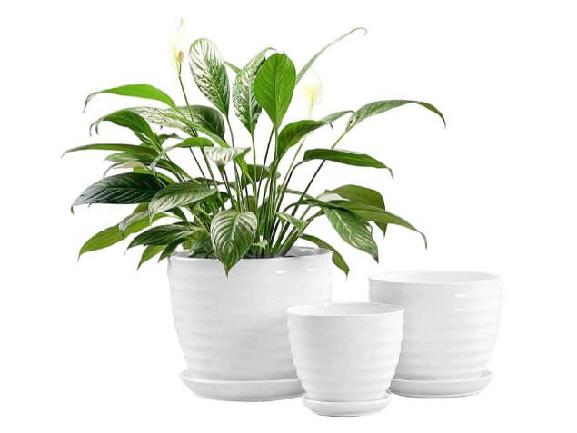 Fasmov Round Modern Ceramic Garden Flower Pots