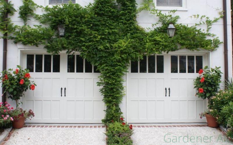 Garage Door Plants Idea