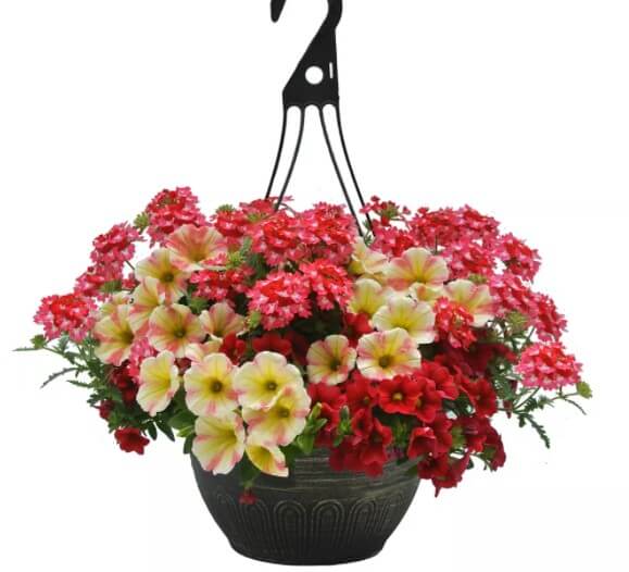 Keep Artificial Hanging Flower in Your Meeting Room