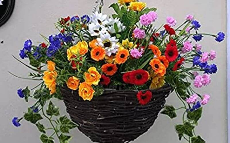 Keep Hanging Flower Basket your Outdoor Wall