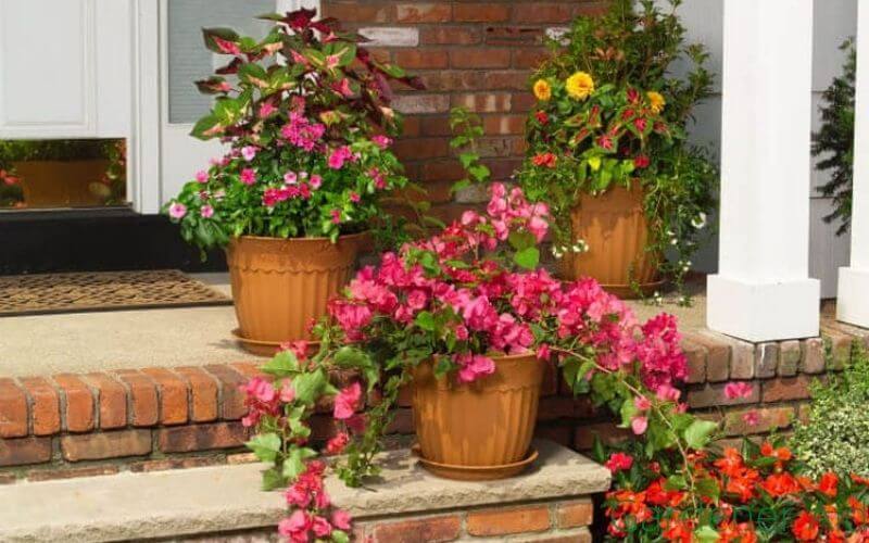 Large landscaping pots entryway colorful plants idea