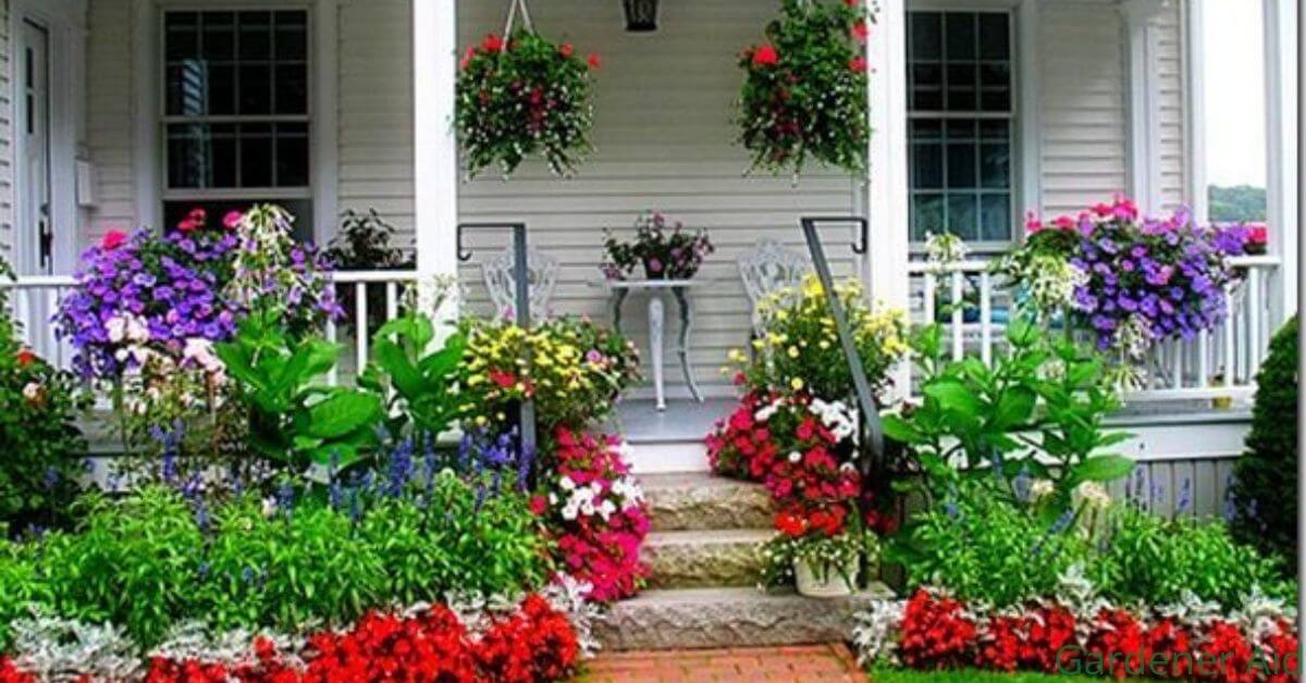 Planter Ideas for Front of House