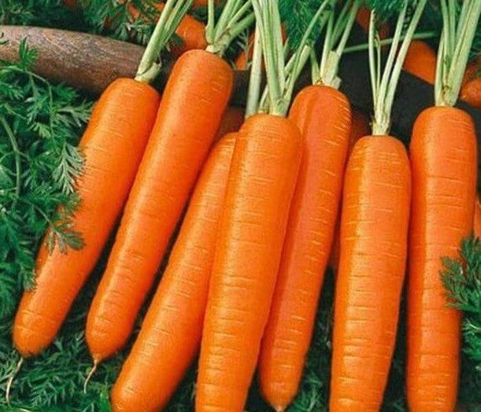 Carrots is the best way vegetables for apartment garden ideas