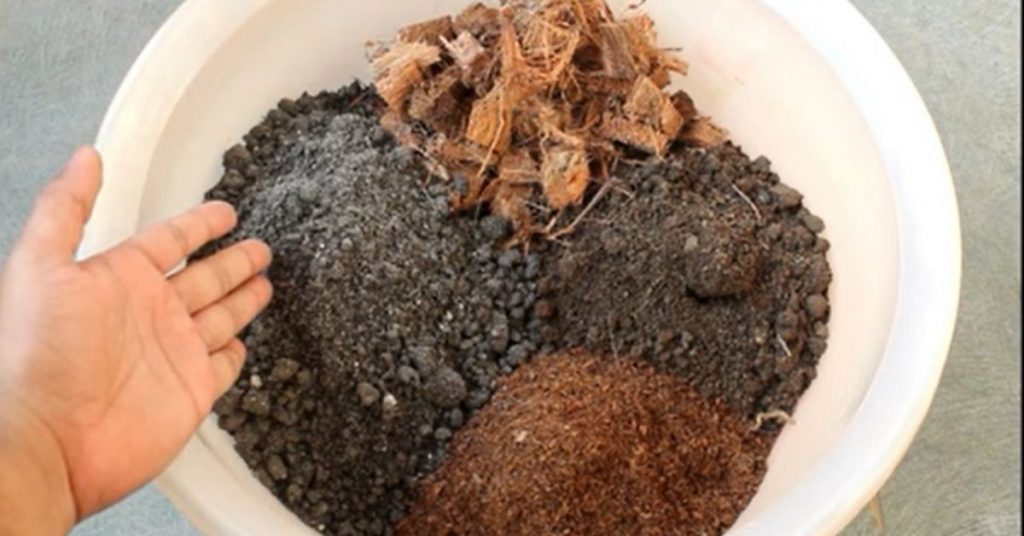 How to make potting soil for indoor plants