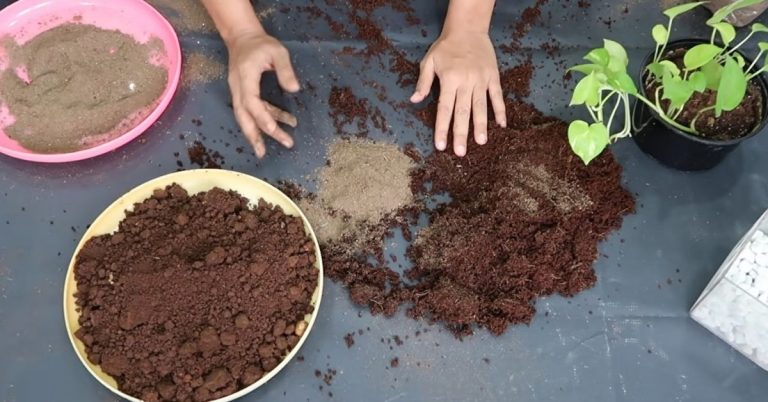 how to prepare soil for planting in pots