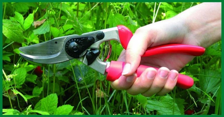 felco pruners for small hands