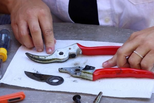 How to clean pruners