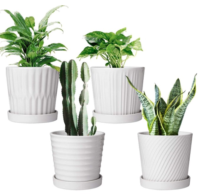 Planter Pots with Saucer