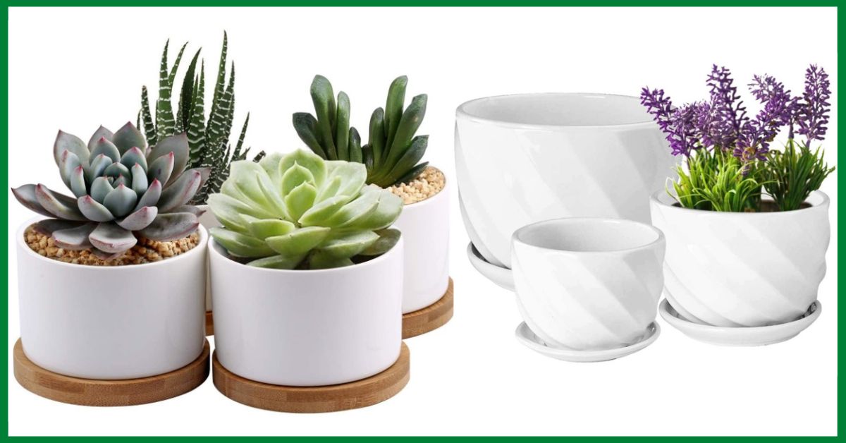 white ceramic flower pots