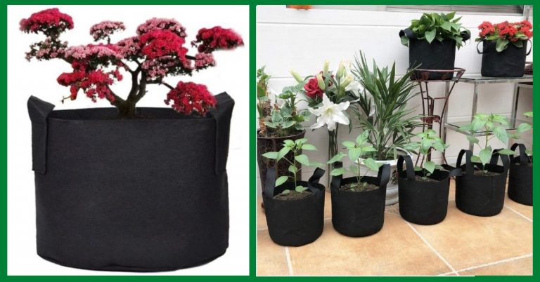 best garden grow bags
