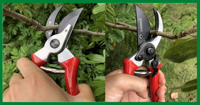 Gonicc 8 professional premium titanium bypass pruning shears