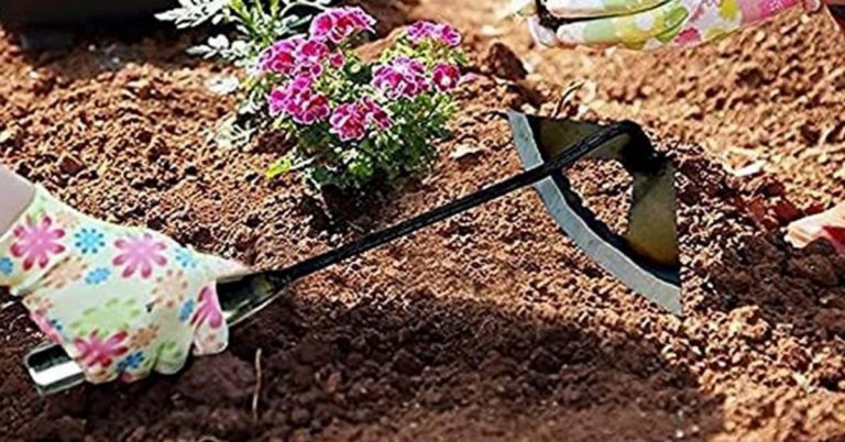 how to use a garden hoe for weeding