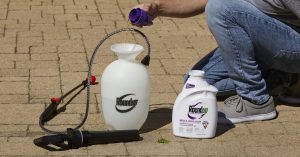 best grass and weed killer for gravel driveways